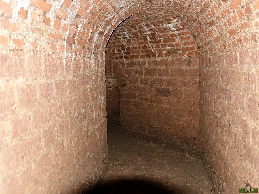 Tunnel Lunette 41